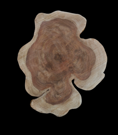 27x28x1" Sheesam wood slice