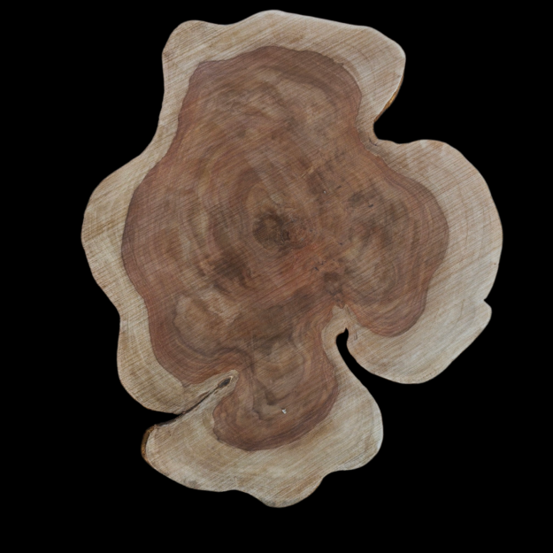 27x28x1" Sheesam wood slice