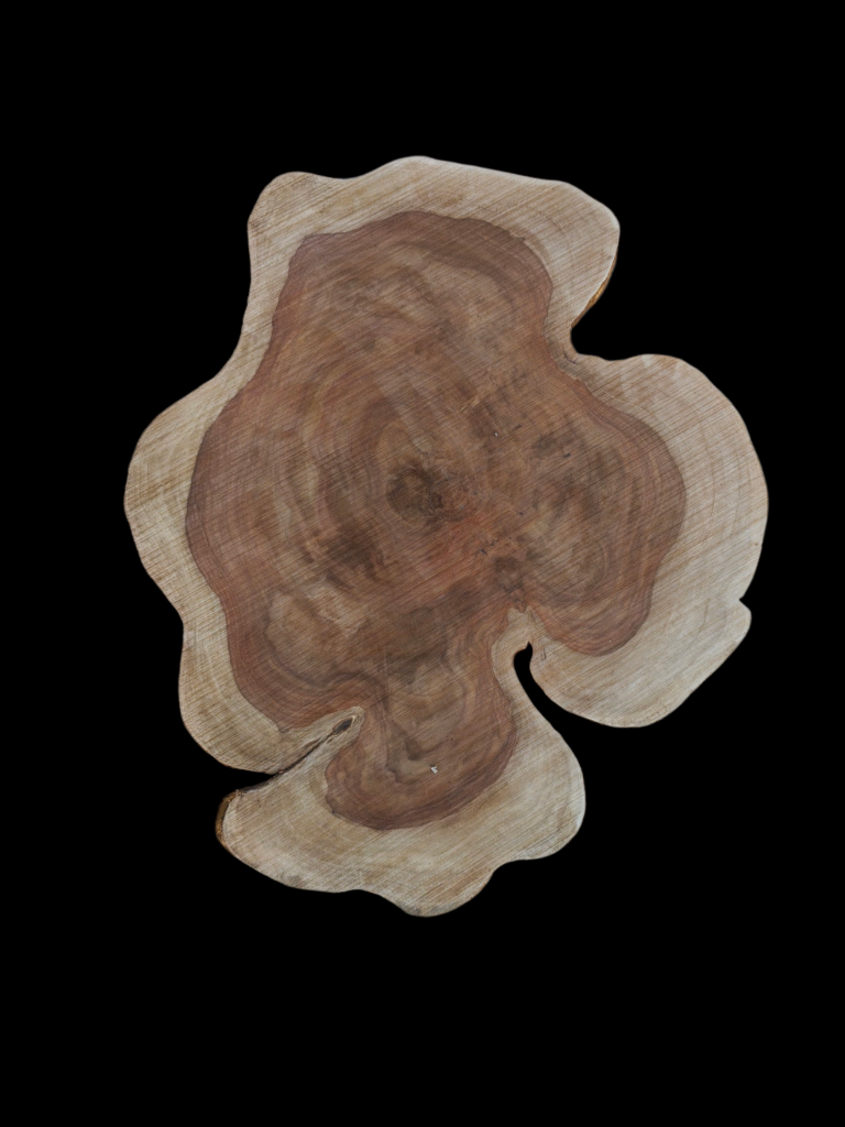 27x28x1" Sheesam wood slice